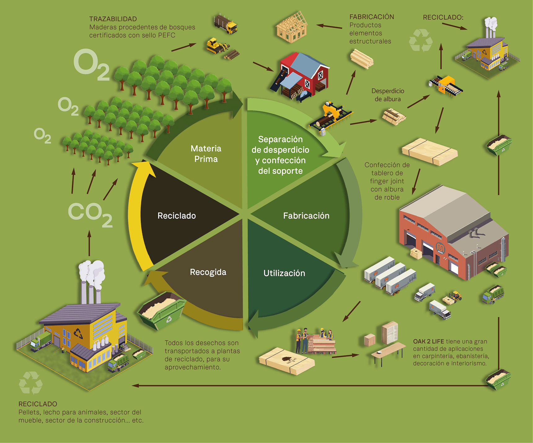 GRAFICO_ECONOMIA CIRCULAR_ES-web-V2 1