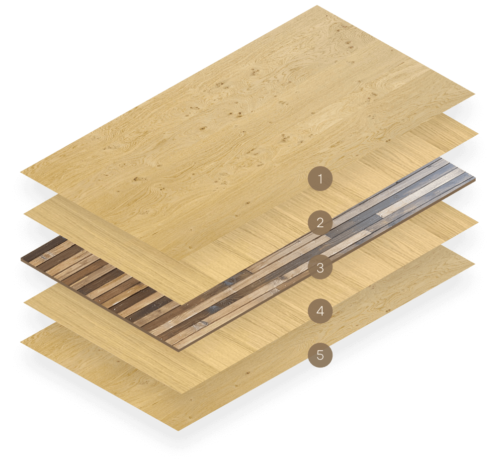 capas tablon